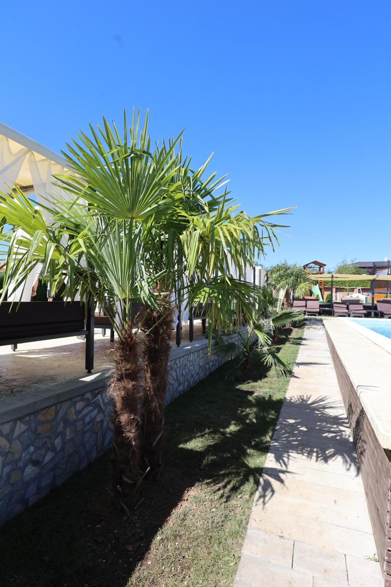 Alexander Resort Sopot 外观 照片